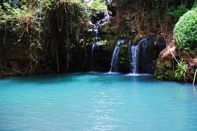 Ngare Ndare Forest - Exploring Meru County