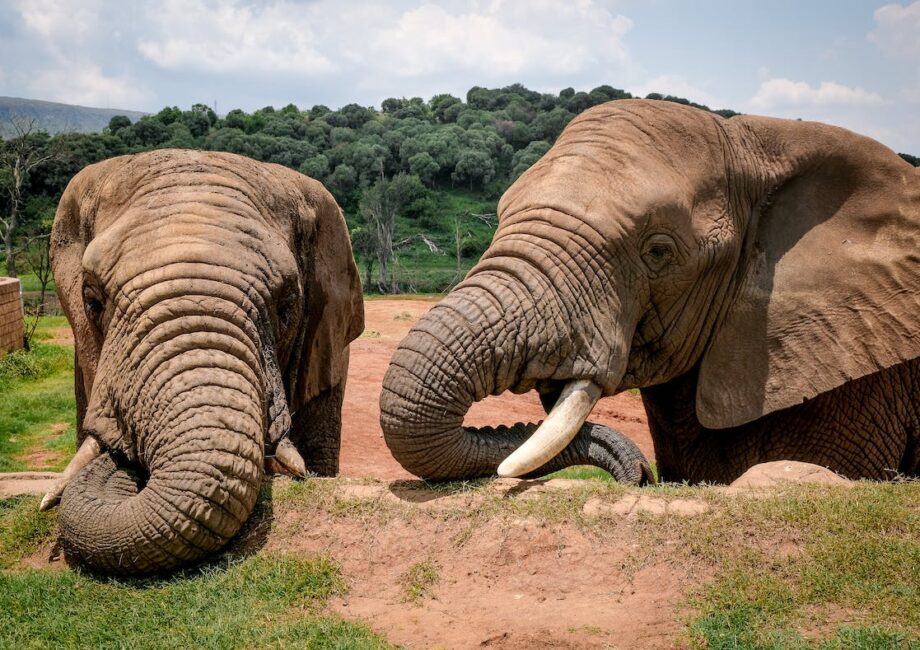 Exploring Meru County: Must-Visit Attractions Near Meru Heights