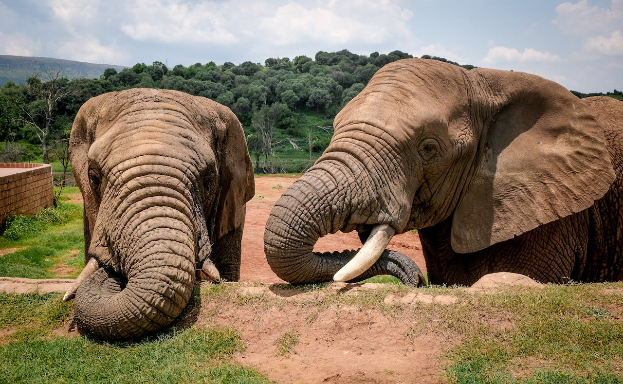 Exploring Meru County: Must-Visit Attractions Near Meru Heights