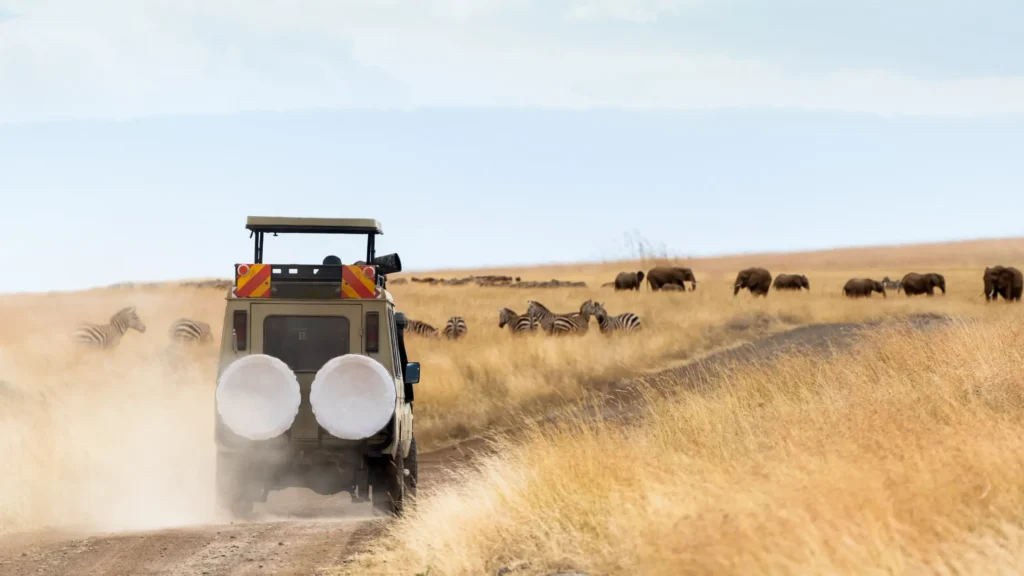 12 Best Things to Do in Meru County — Day Trips, Parks & Activities